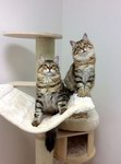 Ingar&Itatka