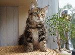 Grenka