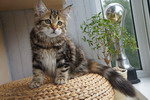 Grenka