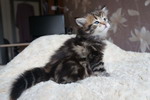 Grenka