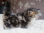 Grenka